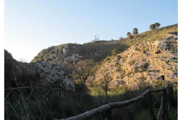 Sfoglia la galleria