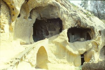 Sfoglia la galleria
